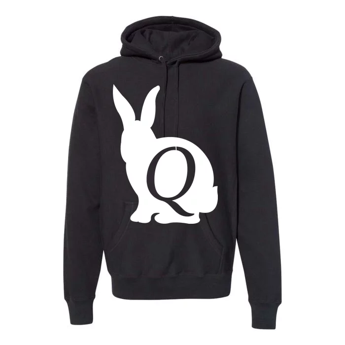 Q-anon Rabbit Logo Premium Hoodie