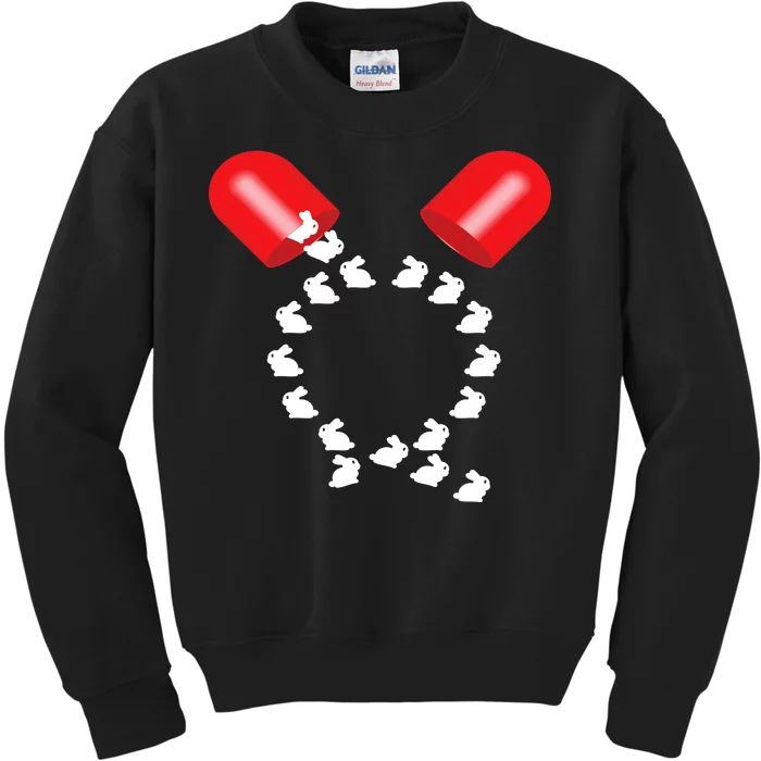 Q Anon Red Pill Qanon Kids Sweatshirt