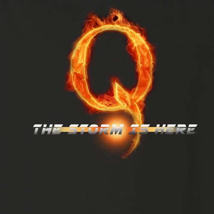 Q-Anon The Storm Is Here Toddler Long Sleeve Shirt