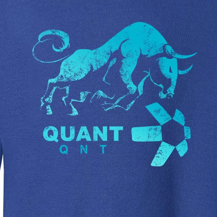 Quant Crypto Bullrun Qnt Token Blockchain Rich Millionaire Great Gift Toddler Sweatshirt