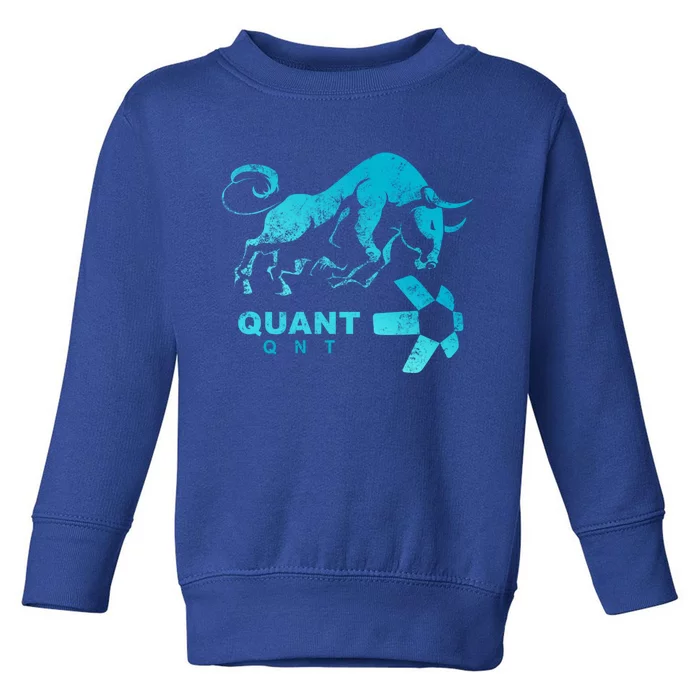 Quant Crypto Bullrun Qnt Token Blockchain Rich Millionaire Great Gift Toddler Sweatshirt