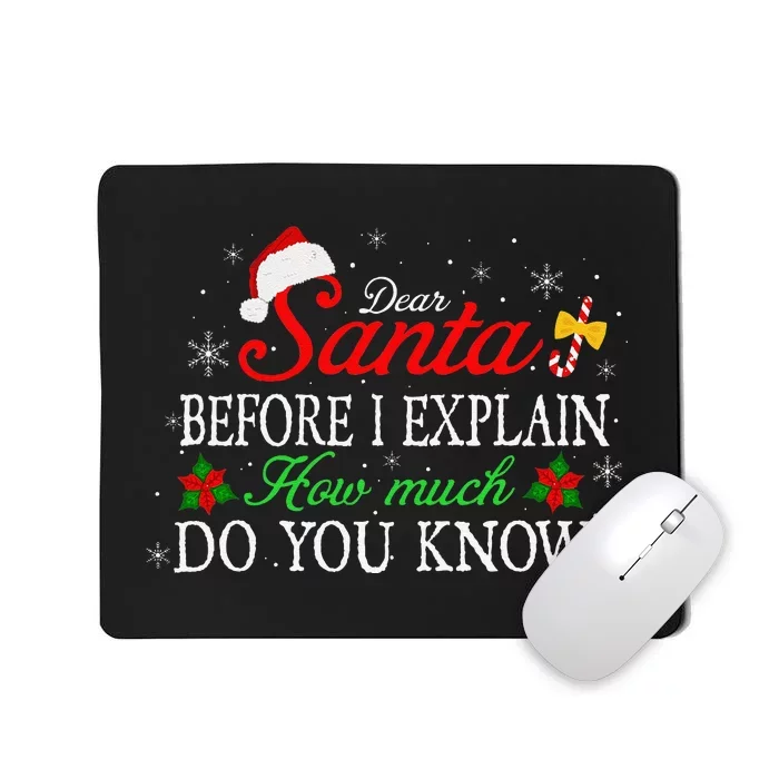 Quotes For Family Dear Santa I Can Explain Christmas Mousepad