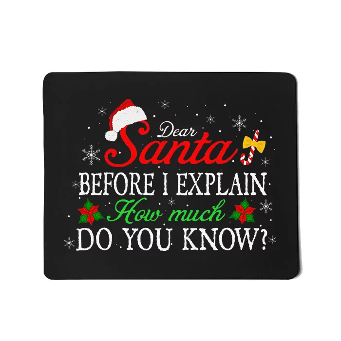 Quotes For Family Dear Santa I Can Explain Christmas Mousepad