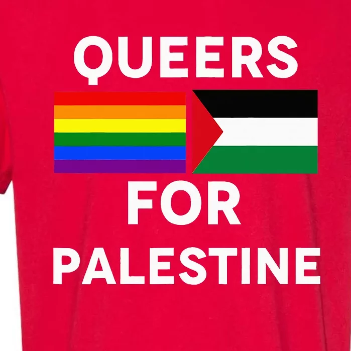 Queers For Palestine Garment-Dyed Heavyweight T-Shirt