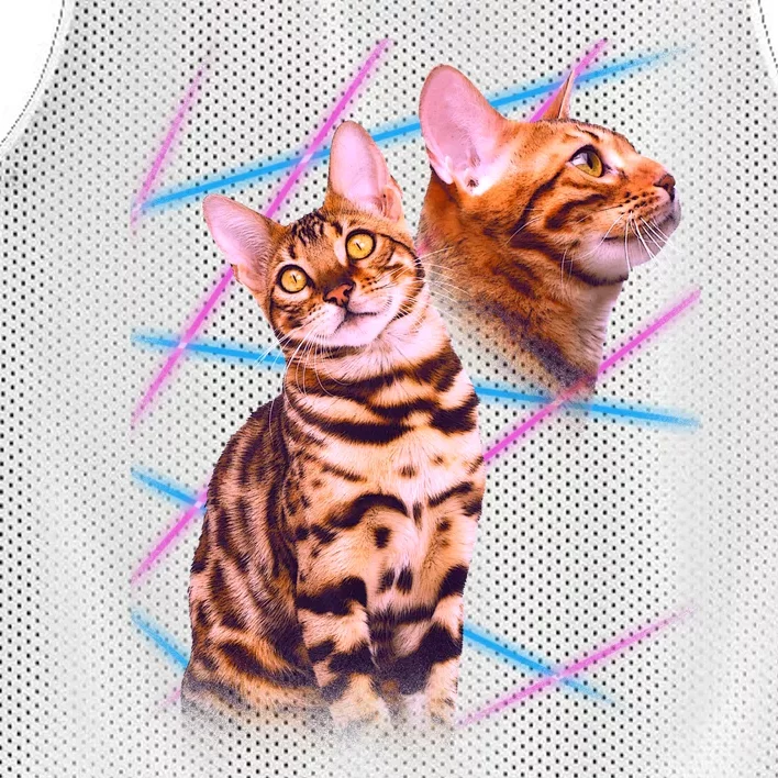 Retro 80s Eighties Lasers Double Exsposure Cat Mesh Reversible Basketball Jersey Tank