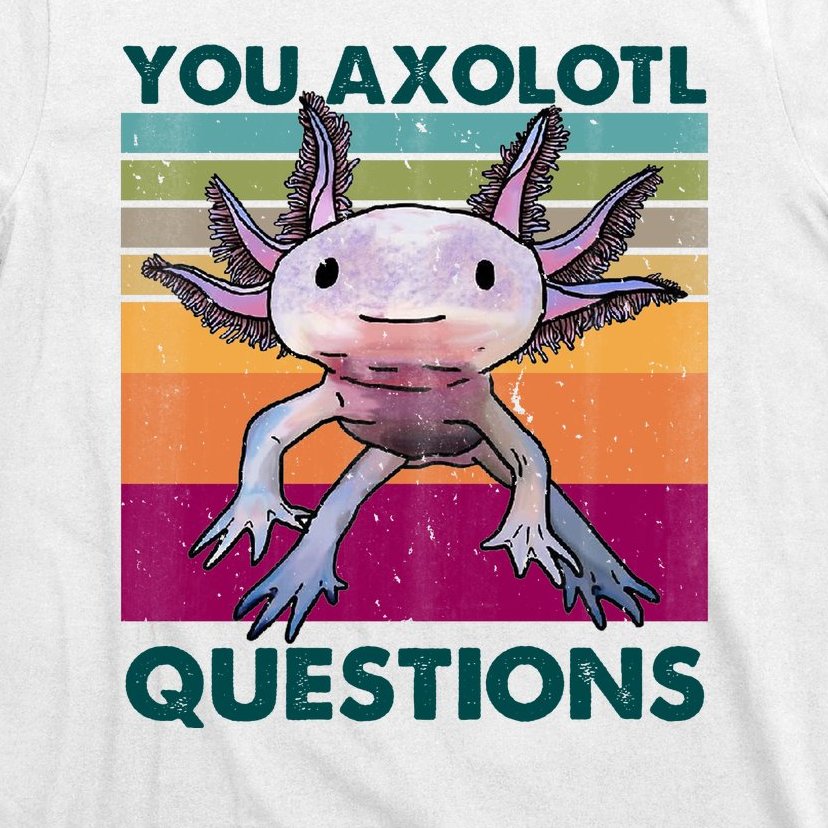 Retro 90s Axolotl Funny You Axolotl Questions T-Shirt