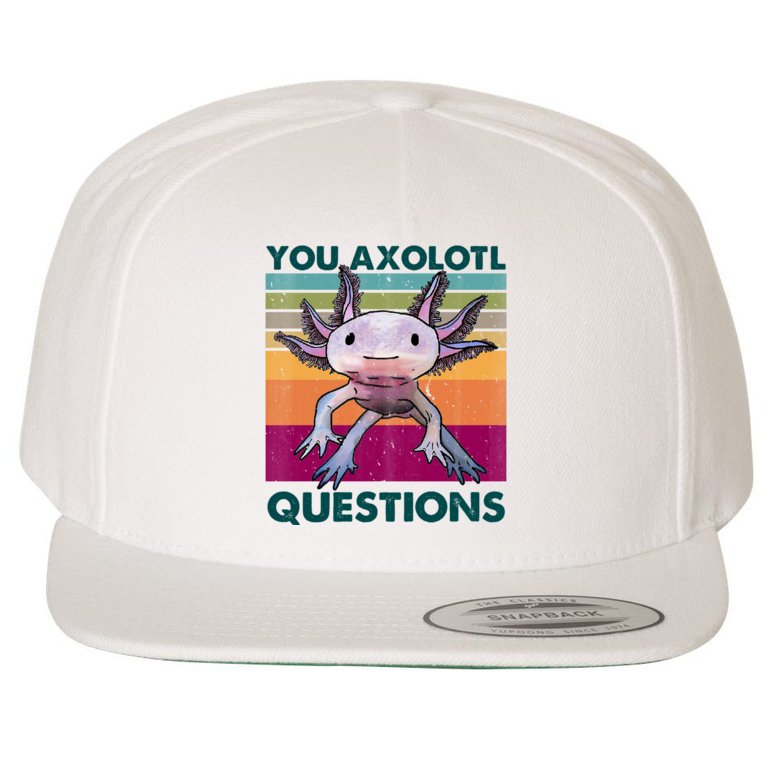 Retro 90s Axolotl Funny You Axolotl Questions Wool Snapback Cap