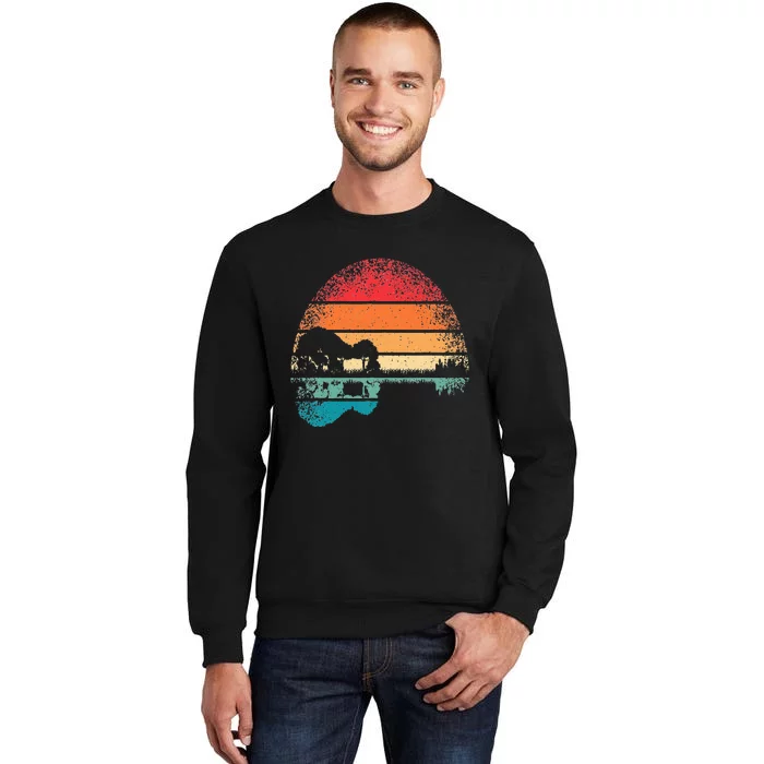 Retro Acoustic Guitar Lake Sunset Guitarist Music Lover Tall Sweatshirt