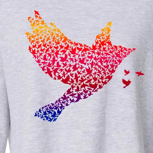 Rainbow Bird Abstract Flock Cropped Pullover Crew