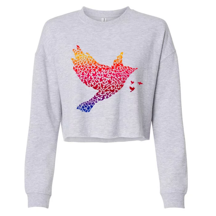 Rainbow Bird Abstract Flock Cropped Pullover Crew