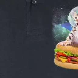 Rainbow Burger Space Cat Softstyle Adult Sport Polo