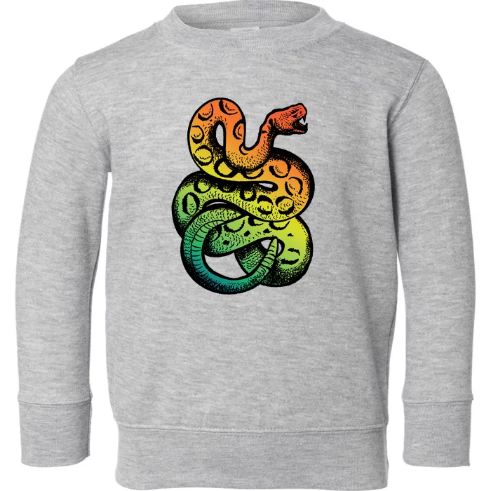 Rainbow Rattlesnake Toddler Sweatshirt