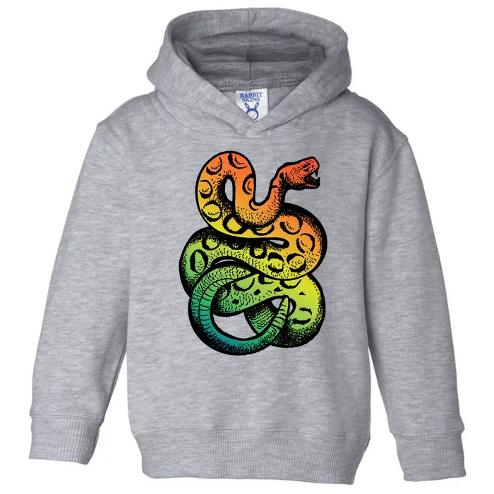 Rainbow Rattlesnake Toddler Hoodie