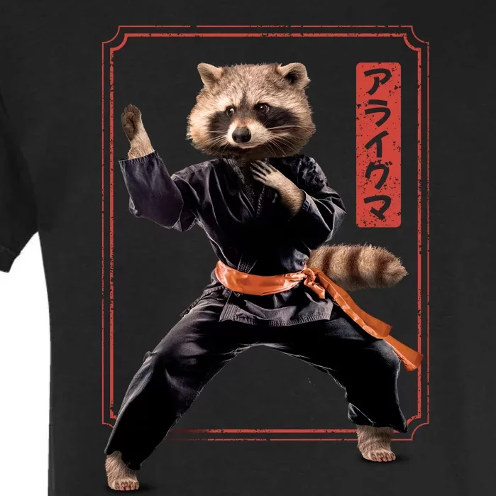 Raccoon Animal Martial Arts Garment-Dyed Heavyweight T-Shirt