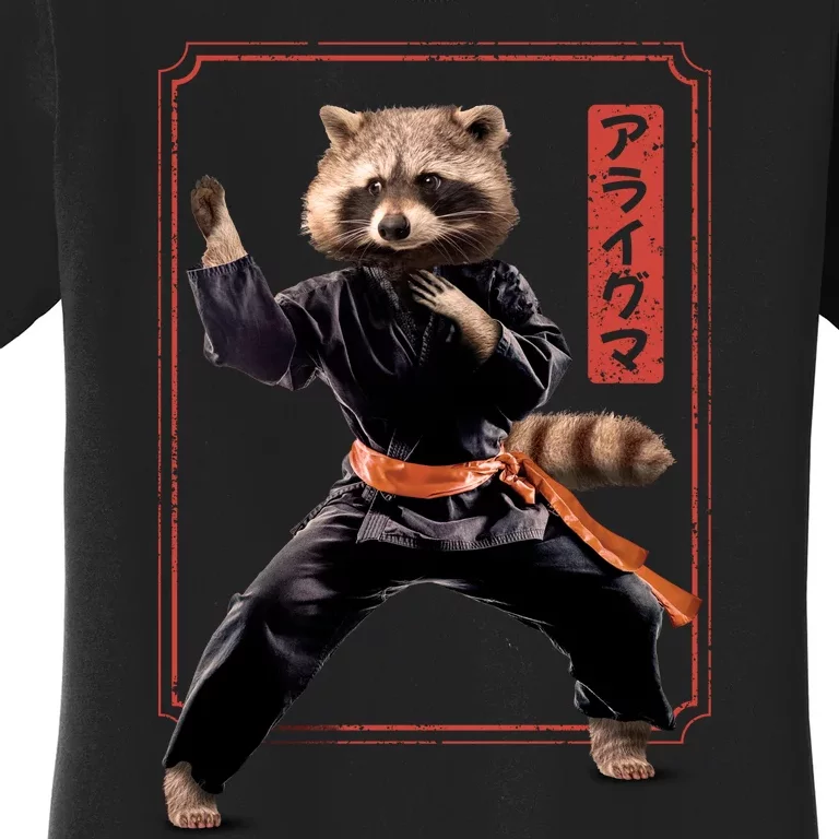 Raccoon Animal Martial Arts Women's T-Shirt