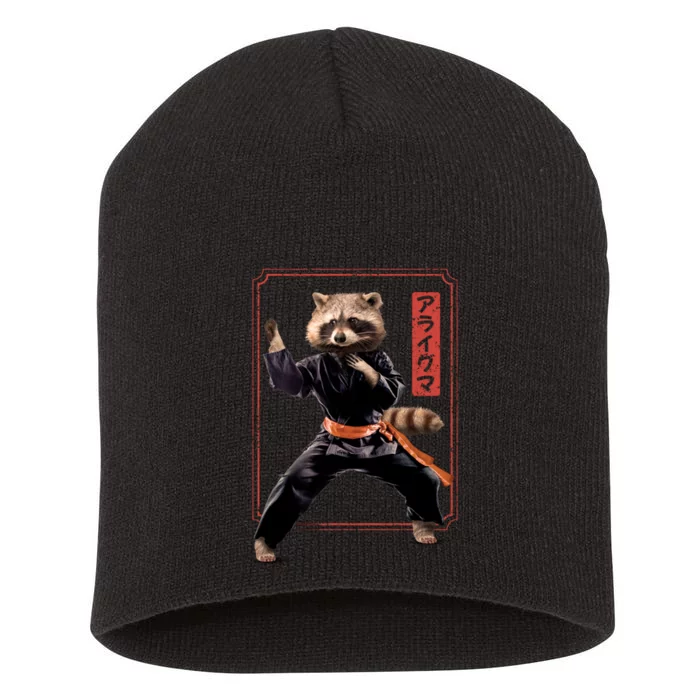 Raccoon Animal Martial Arts Short Acrylic Beanie