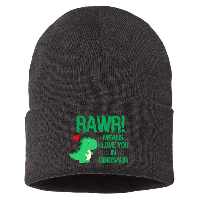 Rawr Means I Love You In Dinosaur Sustainable Knit Beanie