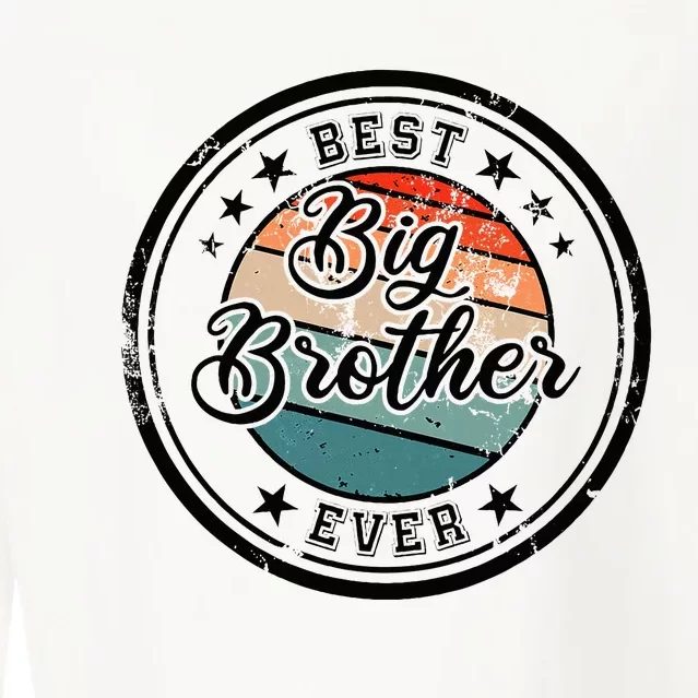 Retro Best Big Brother Ever Big Brother Cropped Pullover Crew