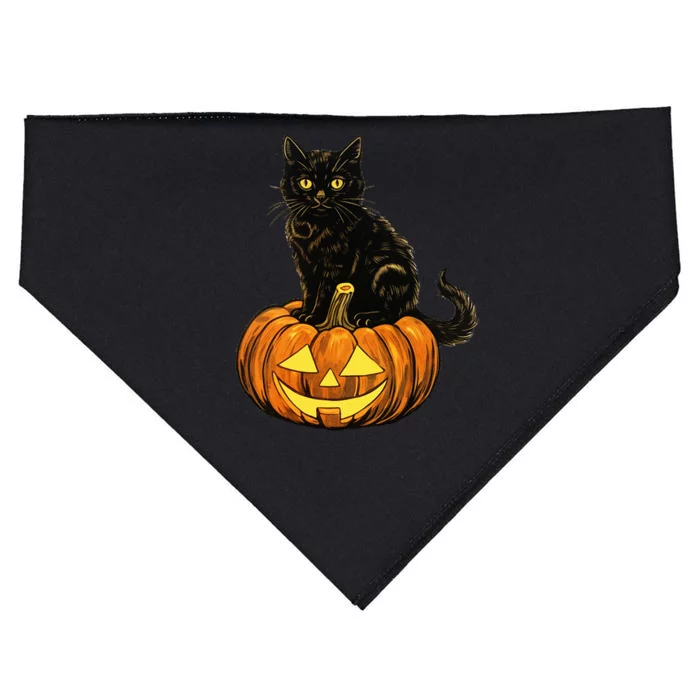 Retro Black Cat Halloween Pumpkin Costume USA-Made Doggie Bandana