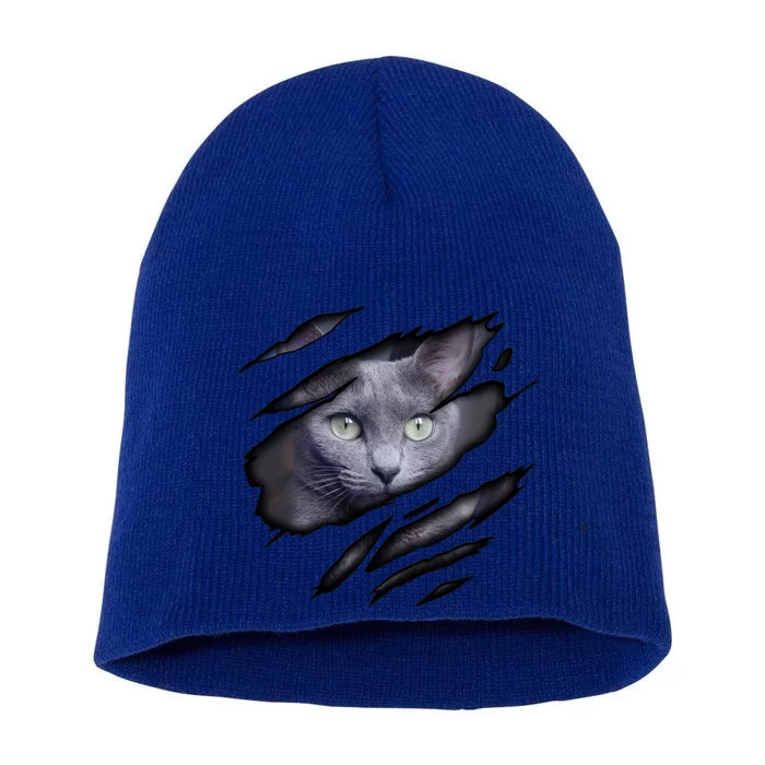 Russian Blue Cat In Me Design Catdesign Purebred Cat Gift Short Acrylic Beanie