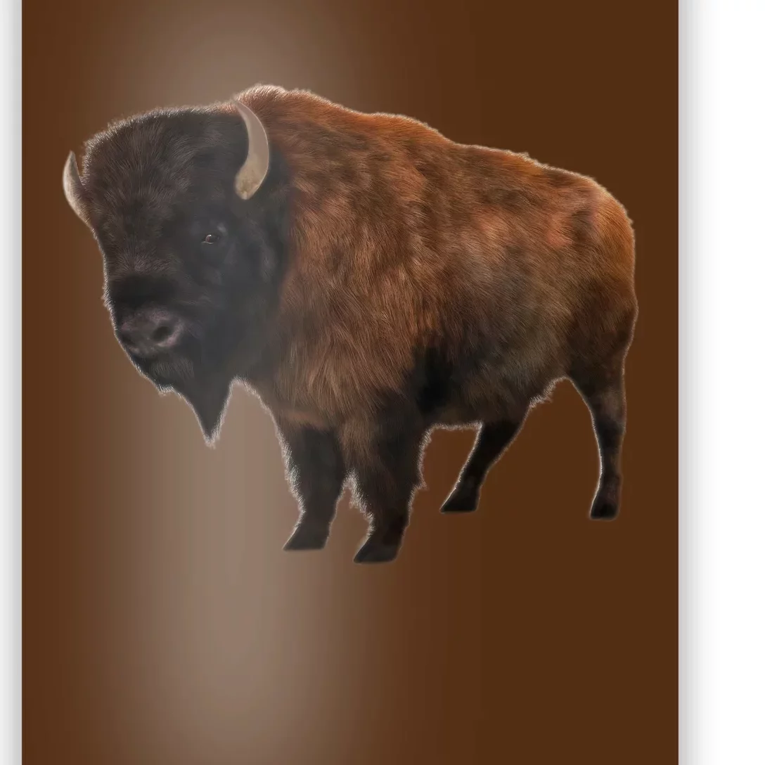 Realistic Bison Poster