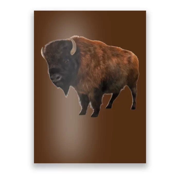 Realistic Bison Poster