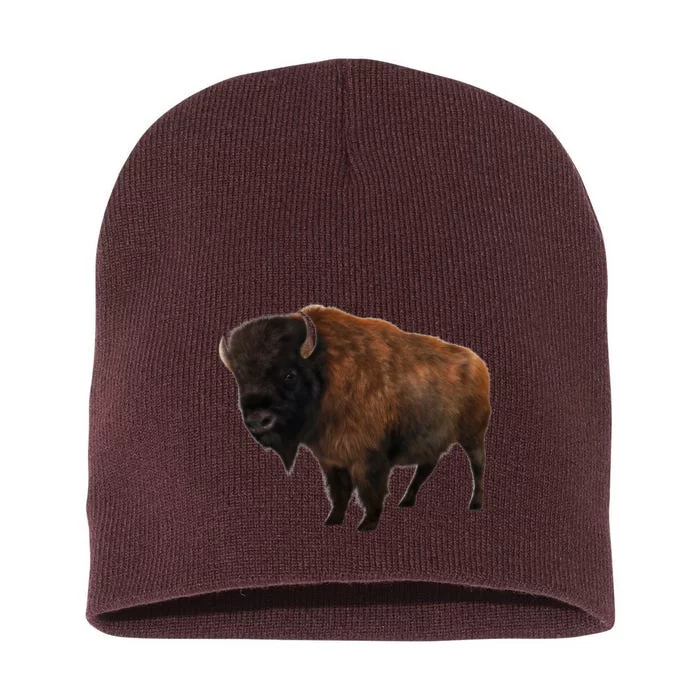 Realistic Bison Short Acrylic Beanie