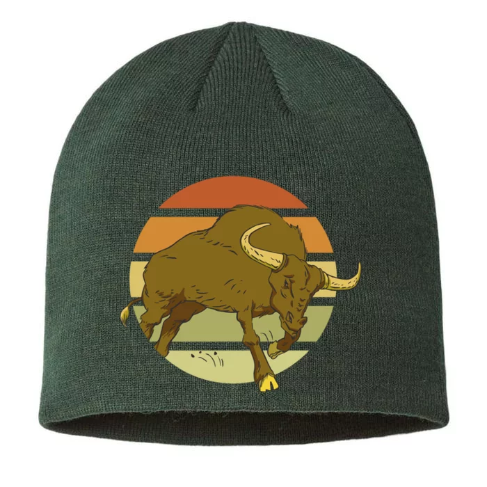 Retro Bull Sunset 8 1/2in Sustainable Knit Beanie