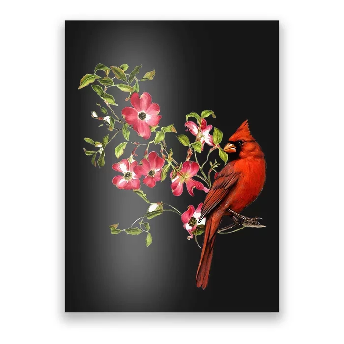 Red Cardinal Bird And Pink Flowering Dogwood Blossoms Poster