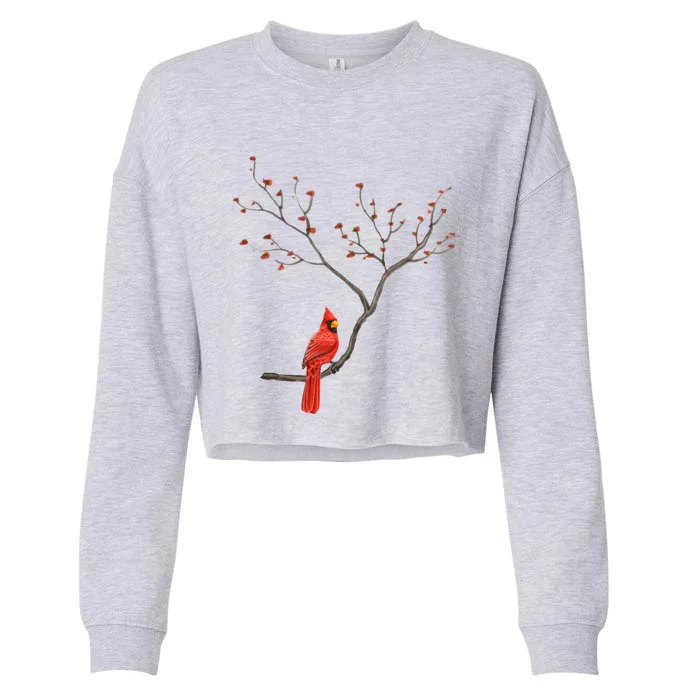 Red Cardinal Bird Lovers Birdwatching Birding Vintage Gift Cropped Pullover Crew