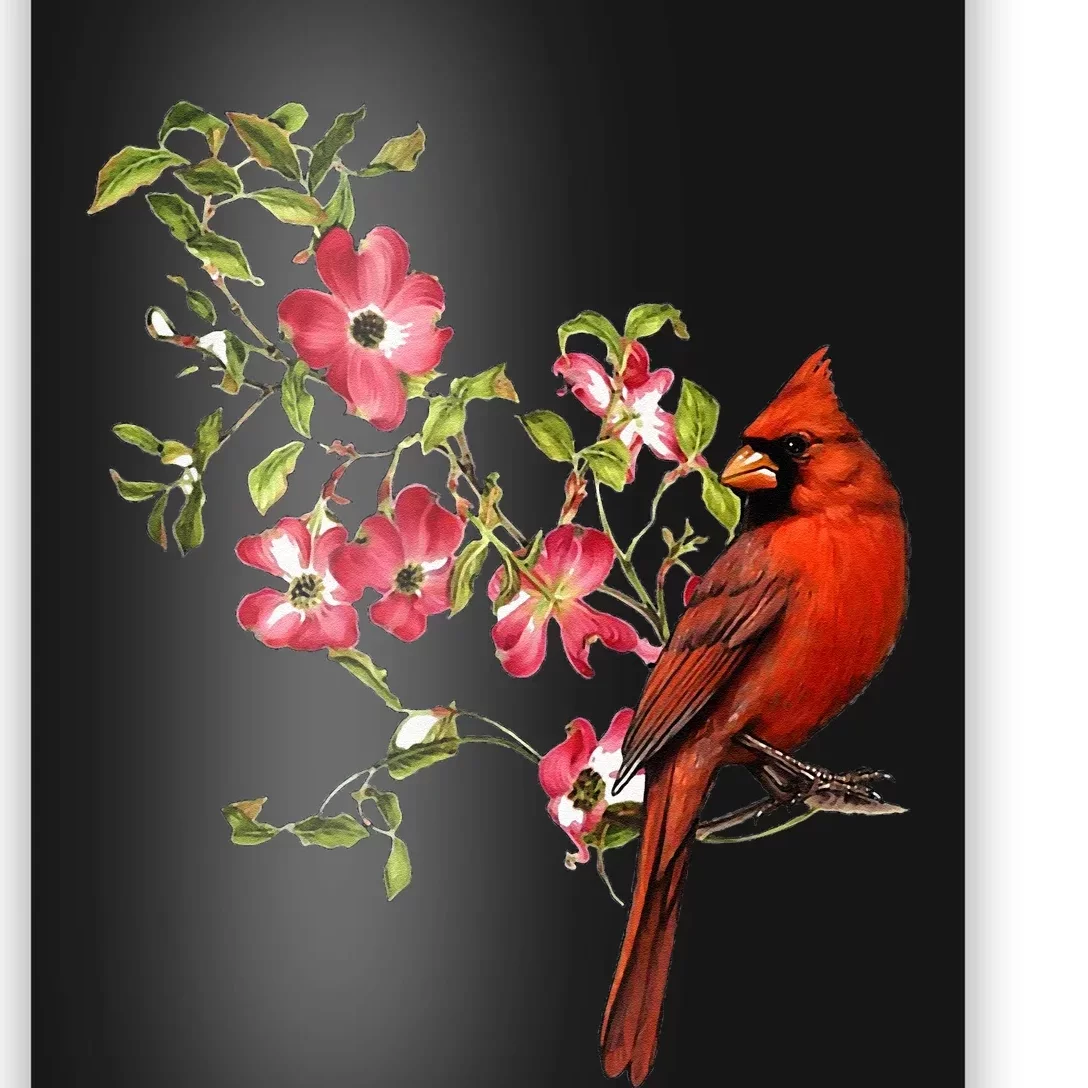 Red Cardinal Bird And Pink Flowering Dogwood Blossoms Poster