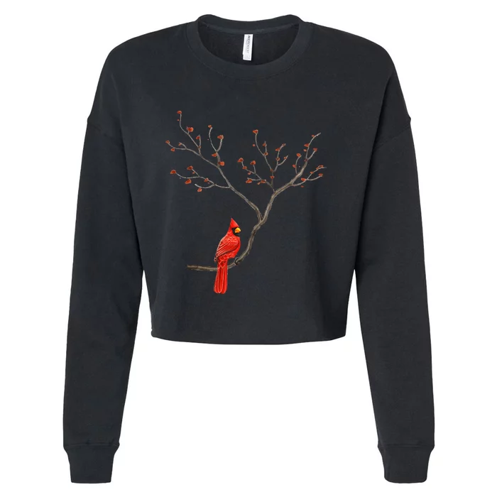 Red Cardinal Bird Lovers Birdwatching Birding Cropped Pullover Crew