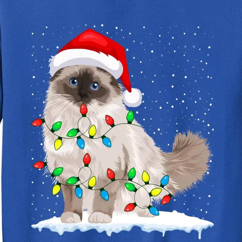 Ragdoll Cat Christmas Lights Xmas Cat Lover Funny Gift Tall Sweatshirt