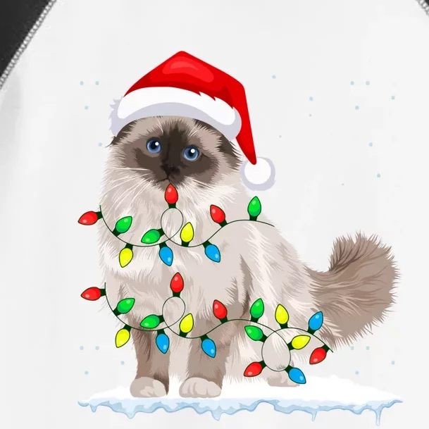 Ragdoll Cat Christmas Lights Xmas Cat Lover Funny Gift Toddler Fine Jersey T-Shirt