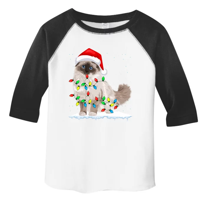 Ragdoll Cat Christmas Lights Xmas Cat Lover Funny Gift Toddler Fine Jersey T-Shirt