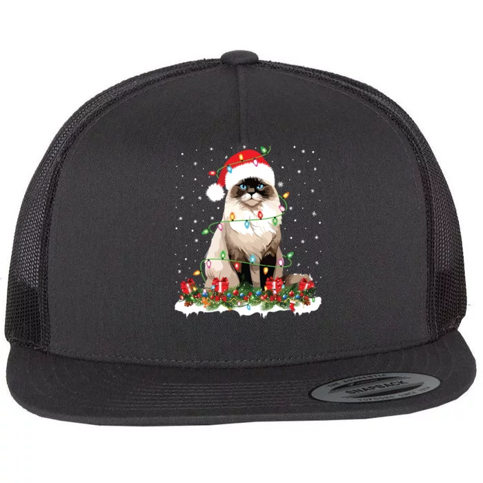 Ragdoll Cat Christmas Lights Xmas Holiday Cat Lover Flat Bill Trucker Hat