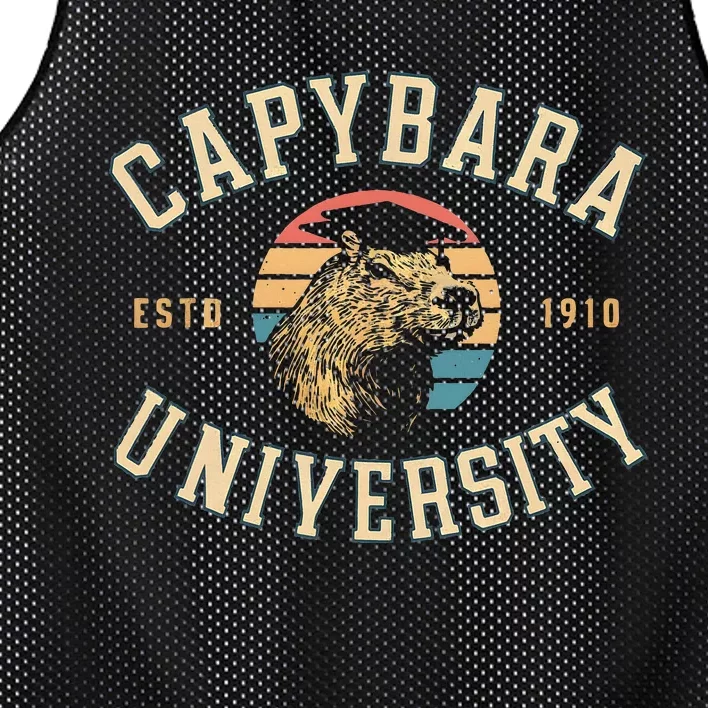 Retro Capybara Funny Capybara Lover For Women Mesh Reversible Basketball Jersey Tank