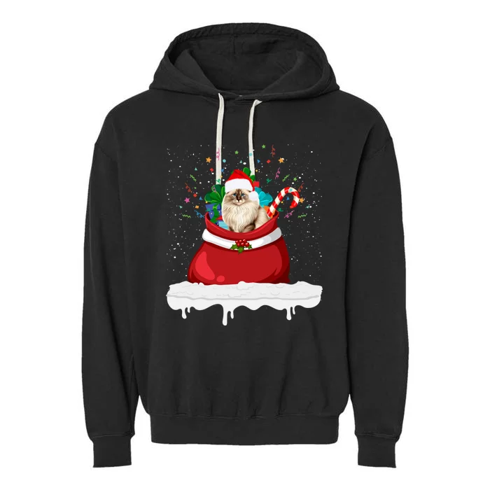 Ragdoll Cat In Santa Hat Christmas Holiday Design Cat Lover Garment-Dyed Fleece Hoodie