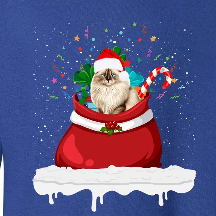 Ragdoll Cat In Santa Hat Christmas Holiday Design Cat Lover Toddler Sweatshirt