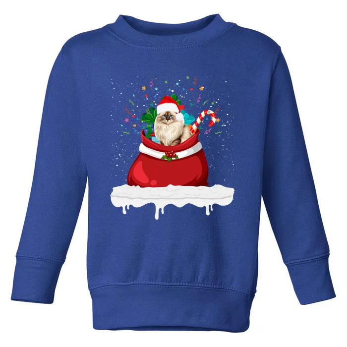 Ragdoll Cat In Santa Hat Christmas Holiday Design Cat Lover Toddler Sweatshirt