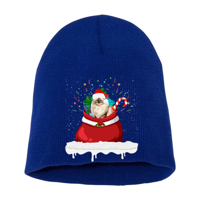 Ragdoll Cat In Santa Hat Christmas Holiday Design Cat Lover Short Acrylic Beanie