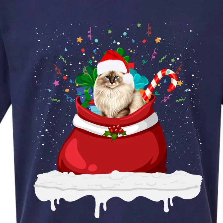 Ragdoll Cat In Santa Hat Christmas Holiday Design Cat Lover Sueded Cloud Jersey T-Shirt