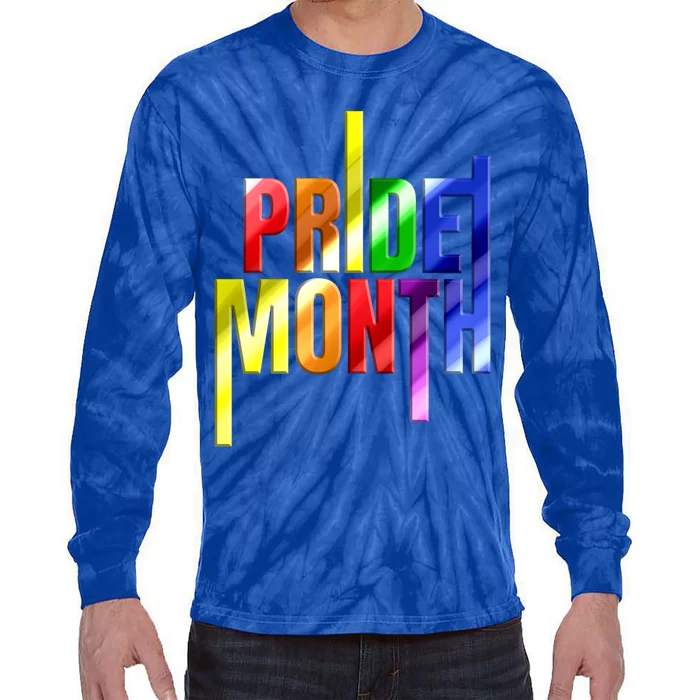 Rainbow Colorful Lgbtq Pride Month Logo Gift Tie-Dye Long Sleeve Shirt