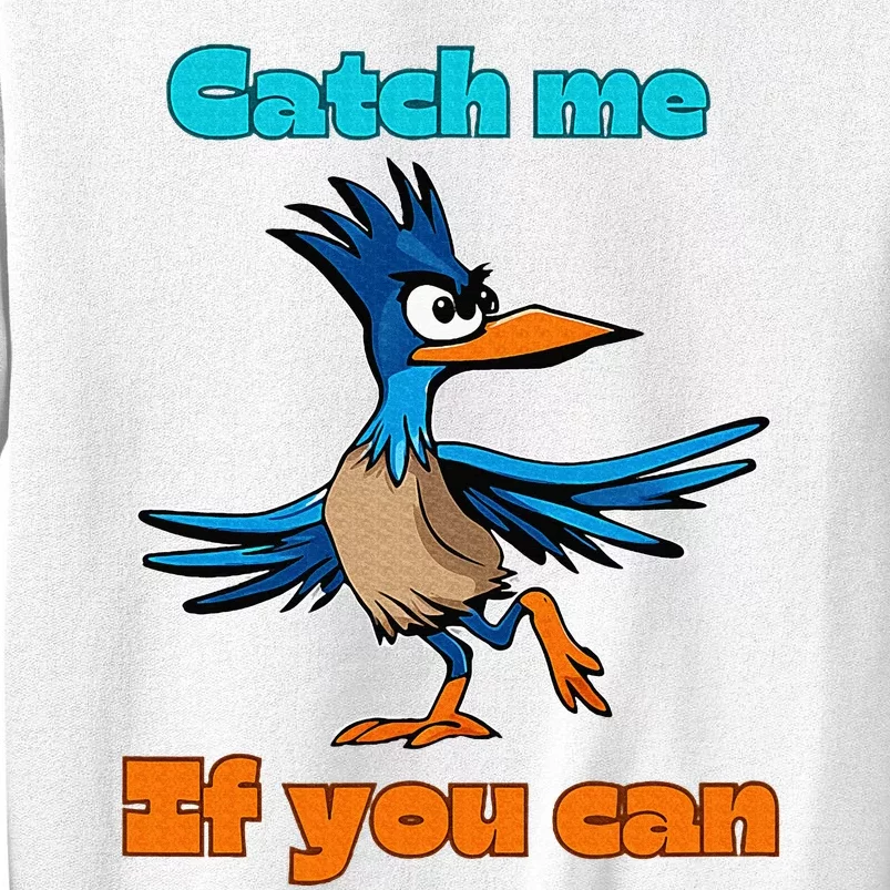 Roadrunner Catch Me If You Can Sweatshirt