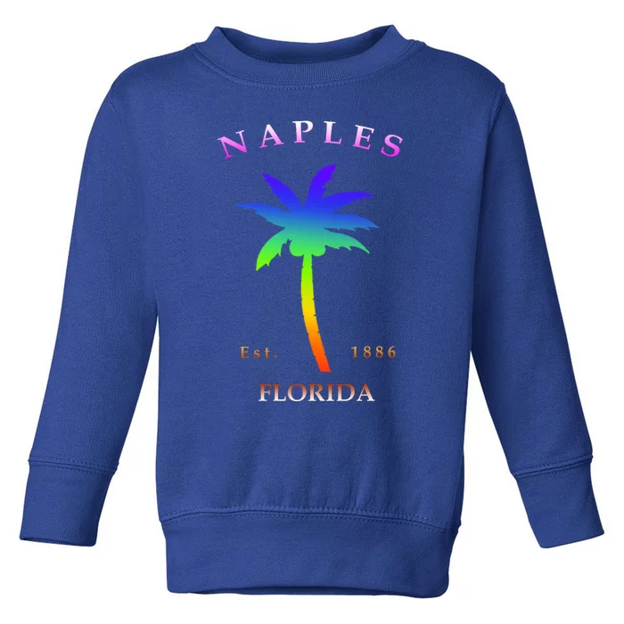 Retro Cool Original Naples Florida Beach Palm Tree Gift Toddler Sweatshirt