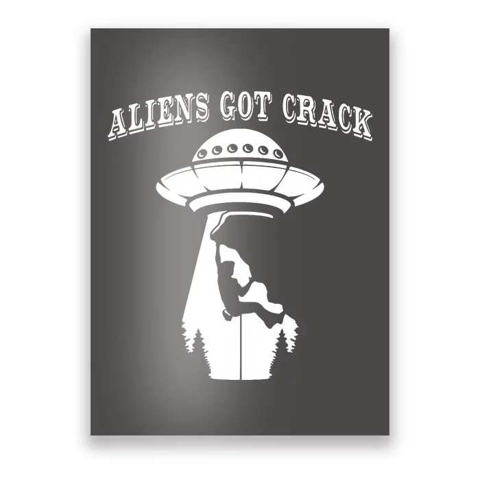 Rock Climbing Outdoors Sport Space Aliens Poster