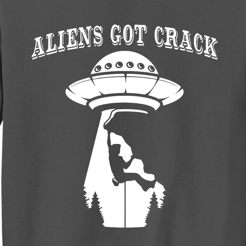 Rock Climbing Outdoors Sport Space Aliens Tall Sweatshirt