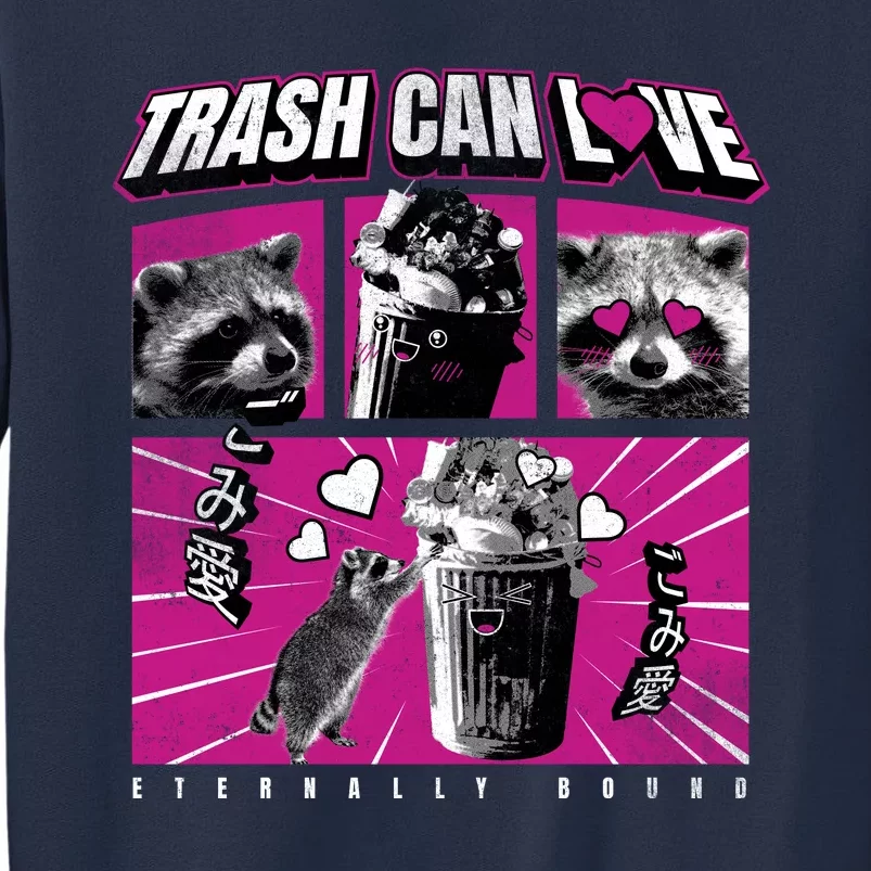 Raccoon Comic Sweatshirt