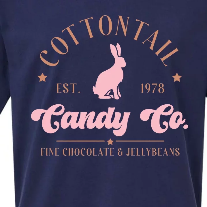 Retro Cotton Tail Est 1978 Candy C.O Sueded Cloud Jersey T-Shirt