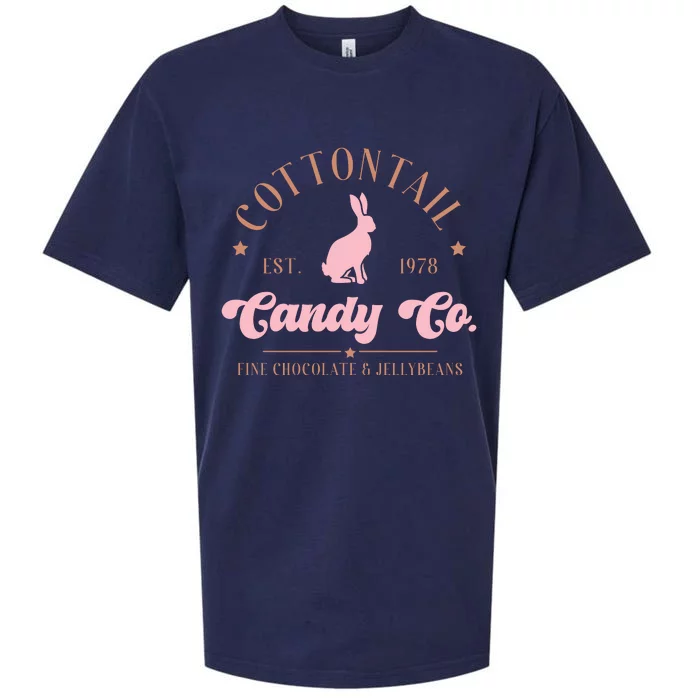 Retro Cotton Tail Est 1978 Candy C.O Sueded Cloud Jersey T-Shirt